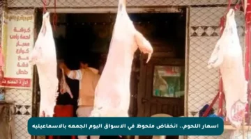 أسعار اللحوم.. انخفاض ملحوظ في الأسواق اليوم الجمعة بالإسماعيلية